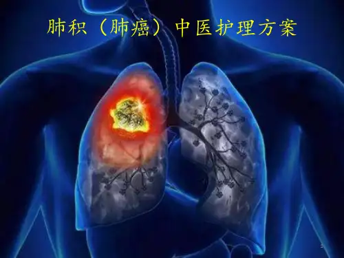 肺积肺癌中医护理方案 ppt课件