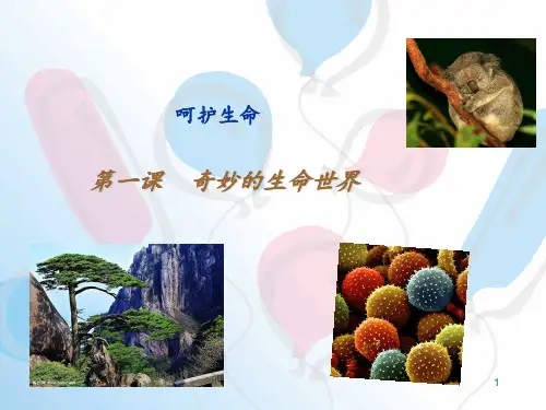 生活生命与安全奇妙的生命世界 ppt课件
