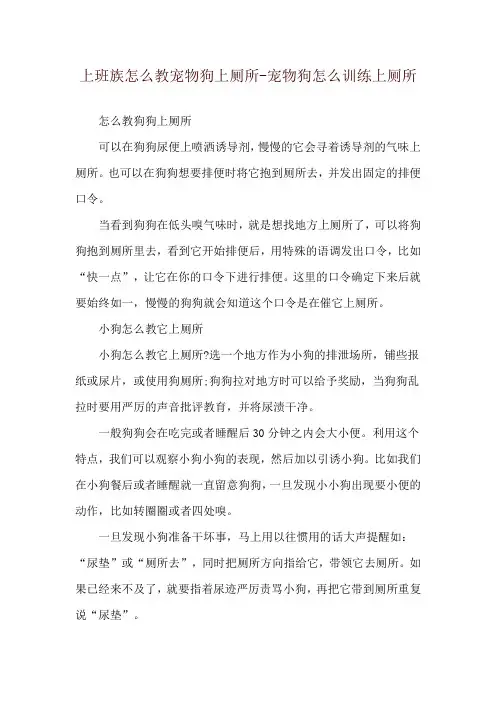 上班族怎么教宠物狗上厕所-宠物狗怎么训练上厕所
