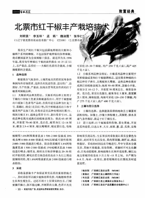北票市红干椒丰产栽培技术