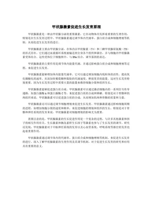 甲状腺激素促进生长发育原理