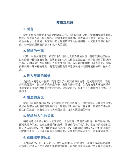 隧道观后感