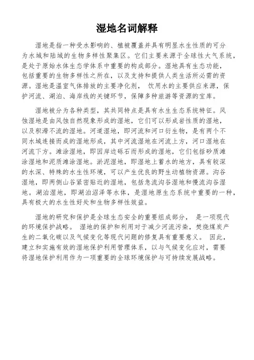 湿地名词解释