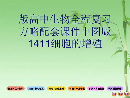 版高中生物全程复习方略配套课件中图版细胞的增殖(共70张PPT)