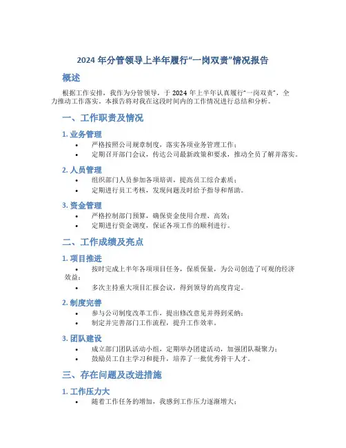 2024年分管领导上半年履行“一岗双责”情况报告