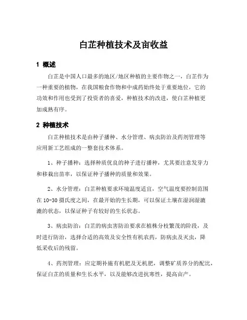 白芷种植技术及亩收益