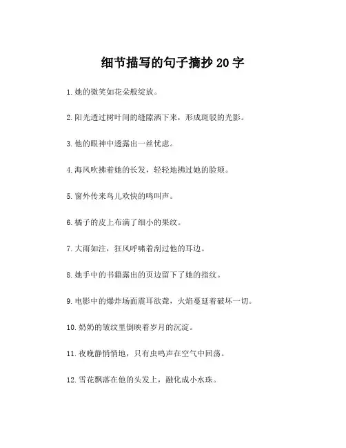 细节描写的句子摘抄20字