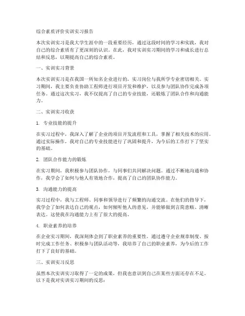 综合素质评价实训实习报告