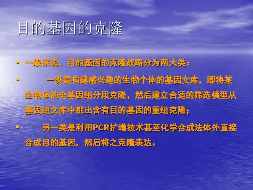 鸟枪法