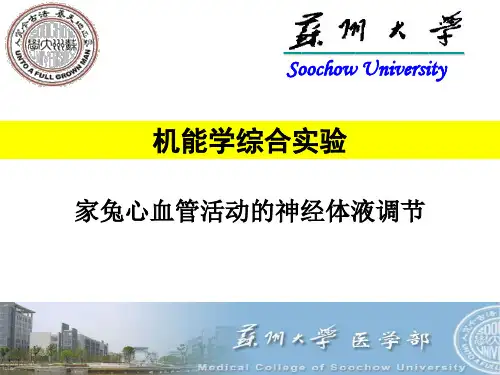 家兔心血管活动的神经体液调节