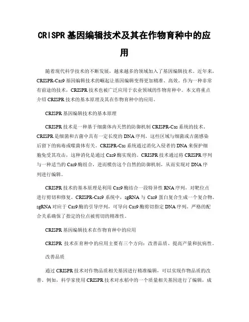 CRISPR基因编辑技术及其在作物育种中的应用