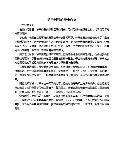 爷爷对我的爱小作文