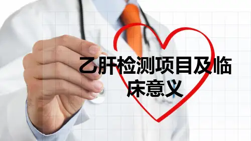 乙肝检测项目及临床意义  PPT