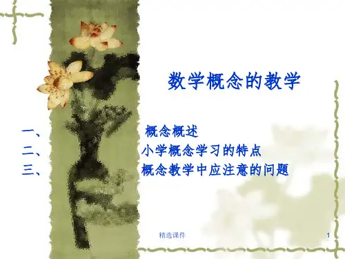 《数学概念的教学》PPT课件