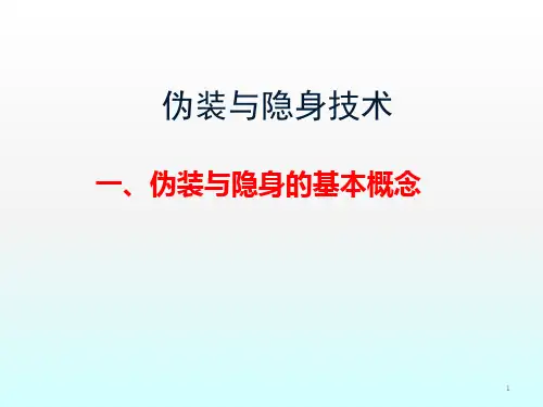 伪装与隐身技术ppt课件