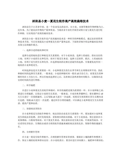 沭阳县小麦—夏花生轮作高产高效栽培技术