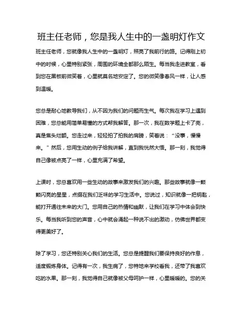 班主任老师,您是我人生中的一盏明灯作文