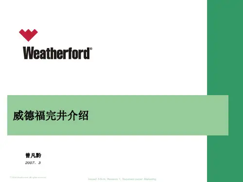 威德福完井介绍(powerpoint)