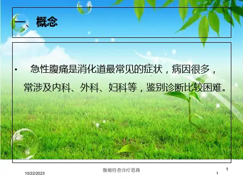 腹痛待查诊疗思路培训ppt课件