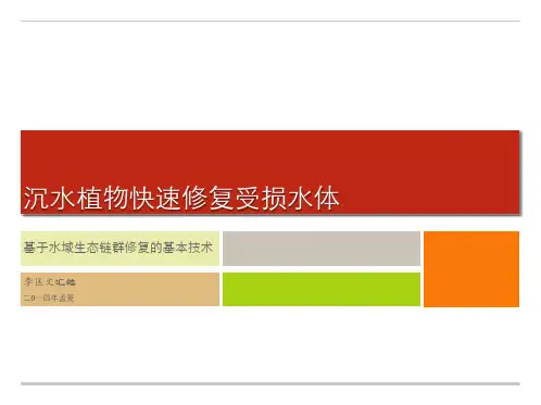 沉水植物快速修复受损水体