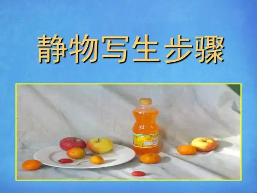 静物写生步骤