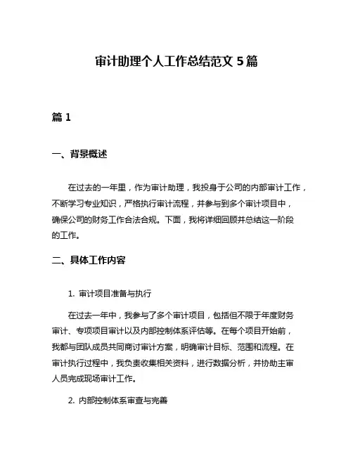 审计助理个人工作总结范文5篇