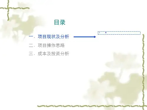 某公司项目启动会报告