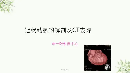 冠状动脉的解剖及CT表现课件