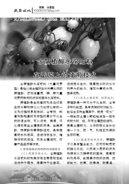 含腐植酸水溶肥料在番茄上的使用技术
