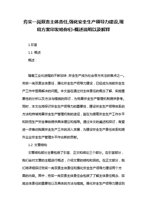 夯实一岗双责主体责任,强化安全生产领导力建设,现将方案印发给你们
