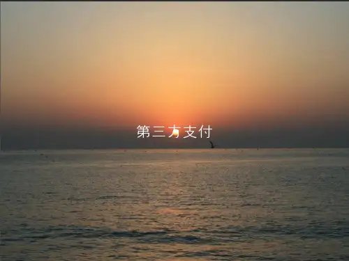 第三方支付