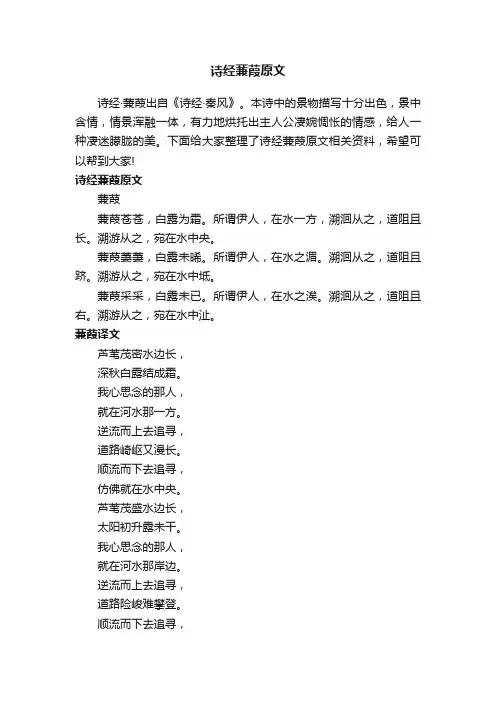 诗经蒹葭原文