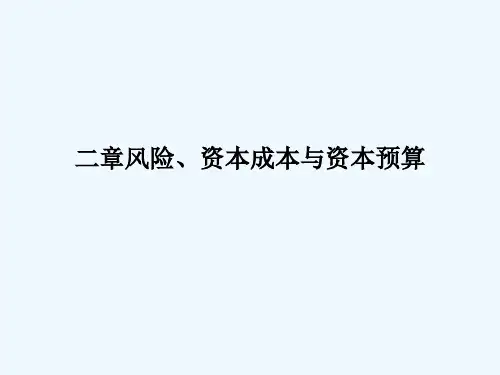 第13章风险、资本成本与资本预算(1)