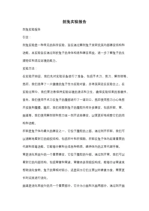 剖兔实验报告