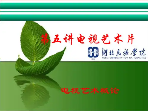 电视艺术片
