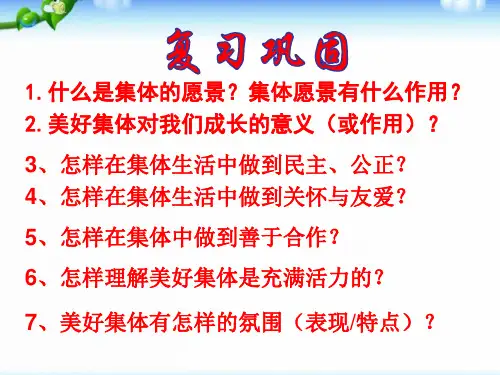8.2 我与集体共成长-课件