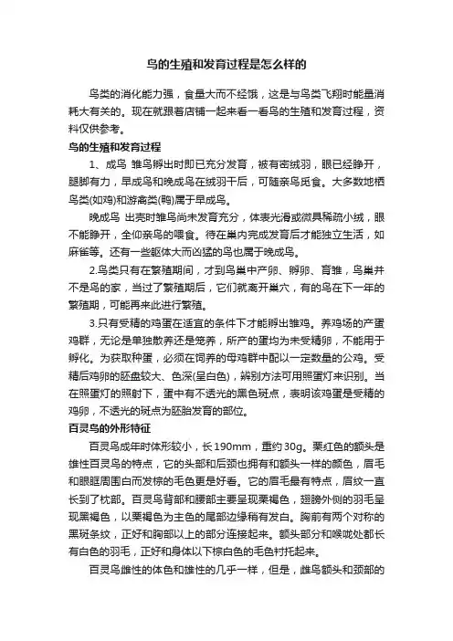 鸟的生殖和发育过程是怎么样的