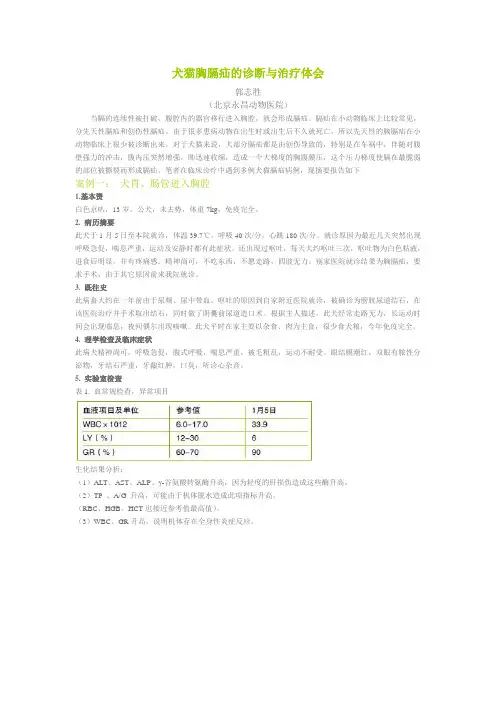 犬猫胸膈疝的诊断与治疗体会