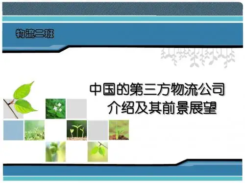 第三方物流公司ws