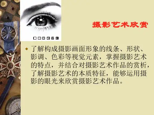 摄影艺术欣赏