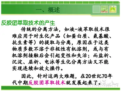 反胶团萃取