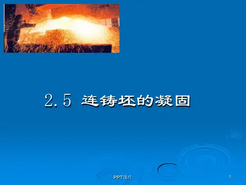 连铸坯的凝固及其控制  ppt课件