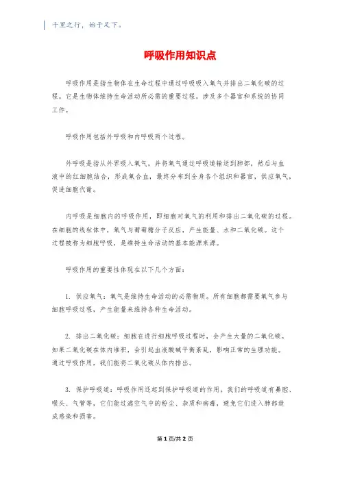 呼吸作用知识点