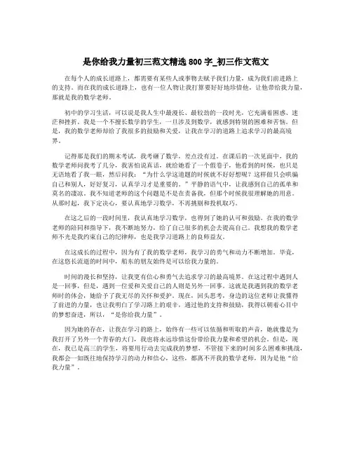 是你给我力量初三范文精选800字_初三作文范文