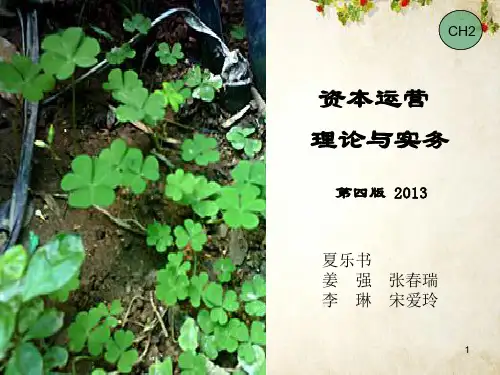 资本运营理论与实务课件(PPT 73页)