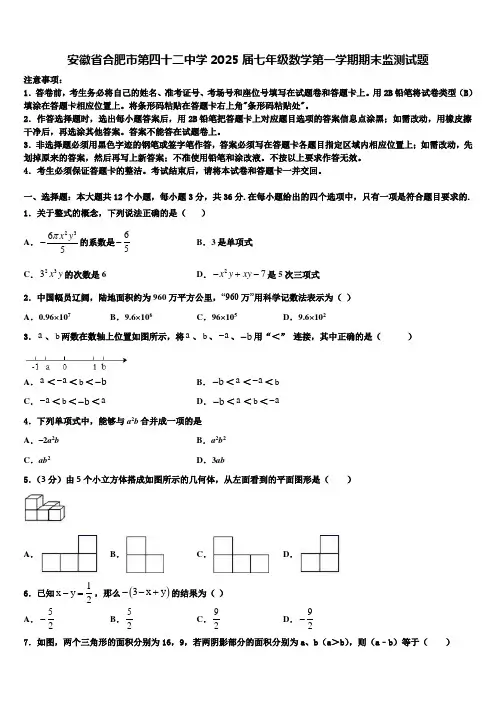 安徽省合肥市第四十二中学2025届七年级数学第一学期期末监测试题含解析