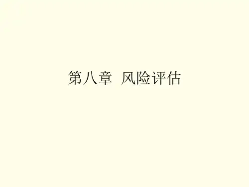 审计学原理-第八章 风险评估