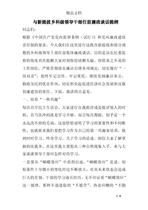 与新提拔乡科级领导干部任前廉政谈话提纲