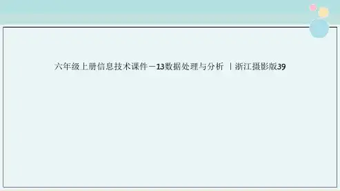 六年级上册信息技术课件－13数据处理与分析 ｜浙江摄影版39