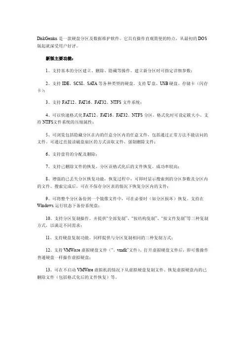 DiskGenius（硬盘修复工具）